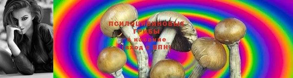 индика Абдулино