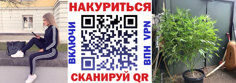 Марихуана конопля  даркнет как зайти  Симферополь 
